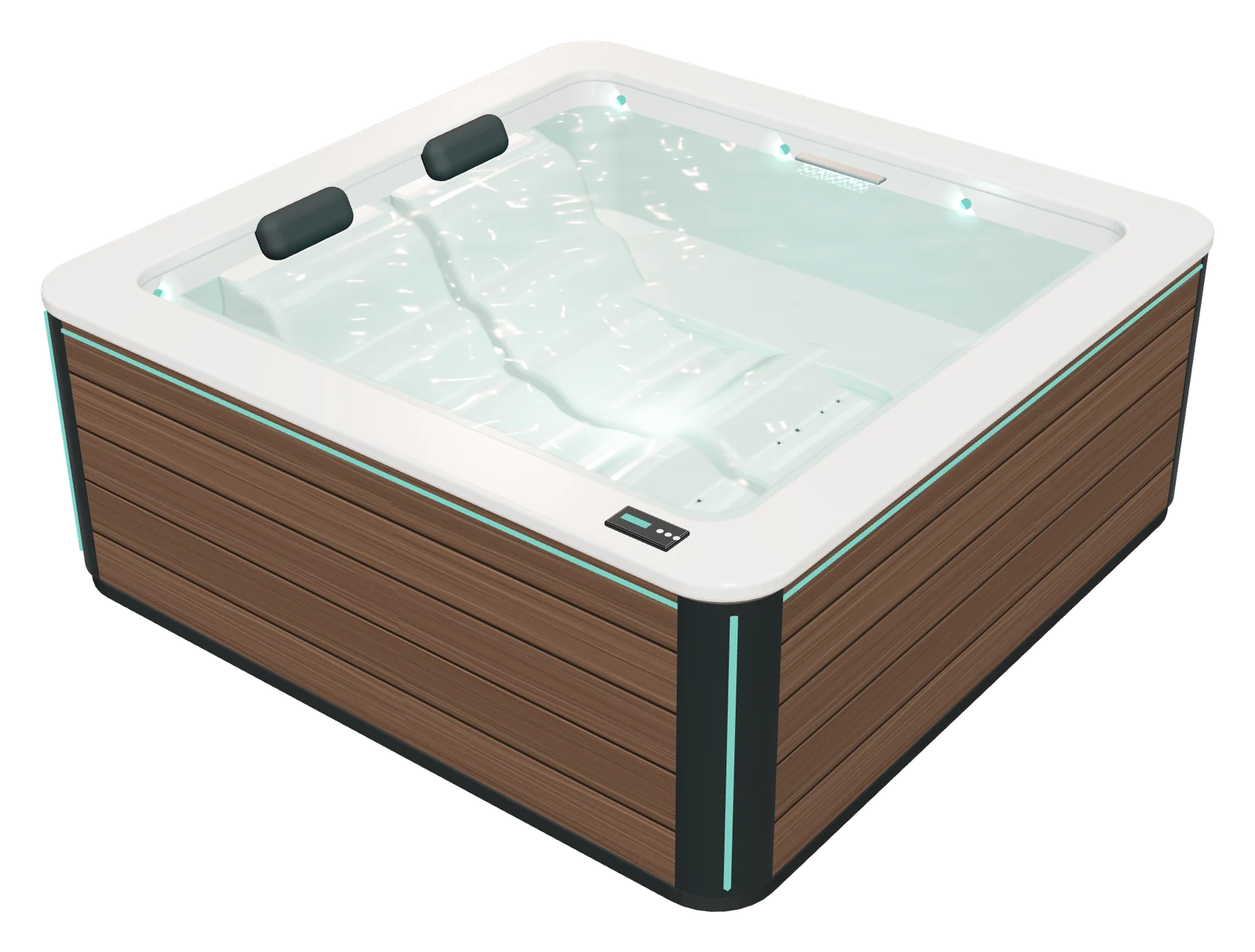Neptun, wanna SPA — wizualizacja 3d